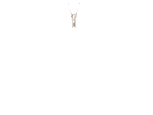 Clothes Pegs