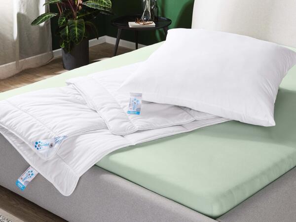 Dust Mite Proof Pillow