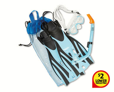 Premium Snorkel and Flipper Set