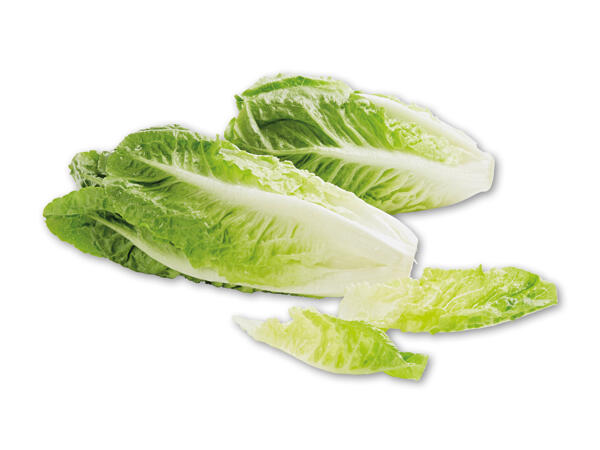 Dansk økologisk hjertesalat