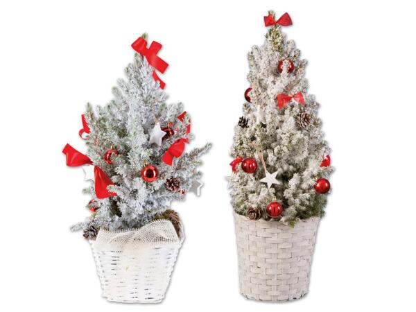 Weihnachtlich dekorierte Zuckerhutfichte