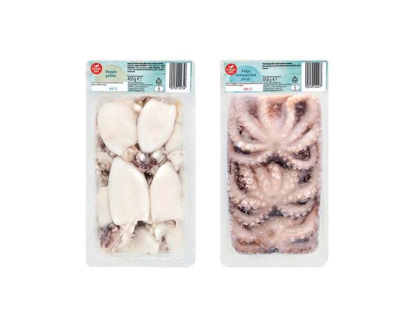 Octopus and Cuttlefish