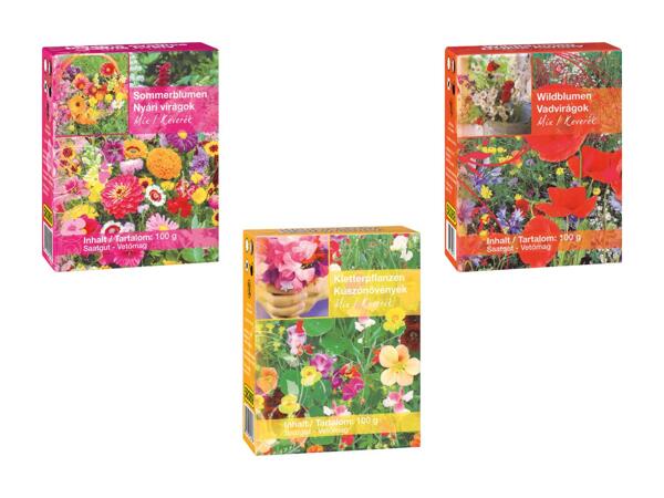 Mélange de fleurs sauvages et de fleurs d'été