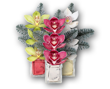 Arrangement d'orchidée pour Noël