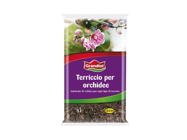 Soil for Orchids