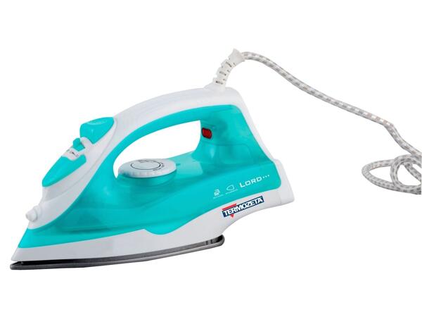 Steam Iron