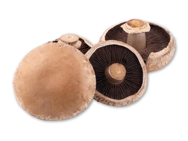 Danske Portobello svampe