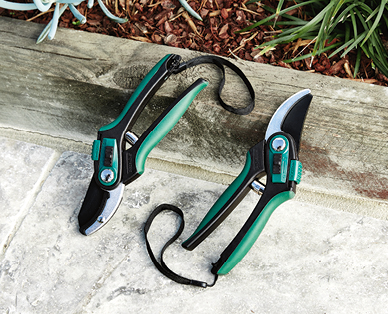 Professional Pruner Set 2pc