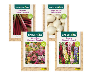 Packet Bulbs