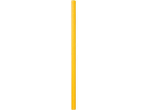Pool noodle