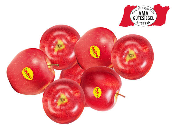 Äpfel rot, Evelina(R)