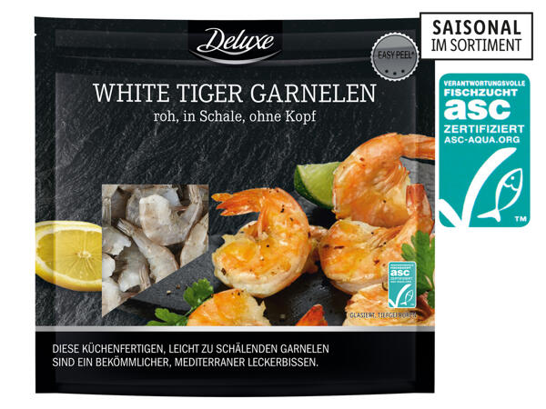 ASC White Tiger Garnelen
