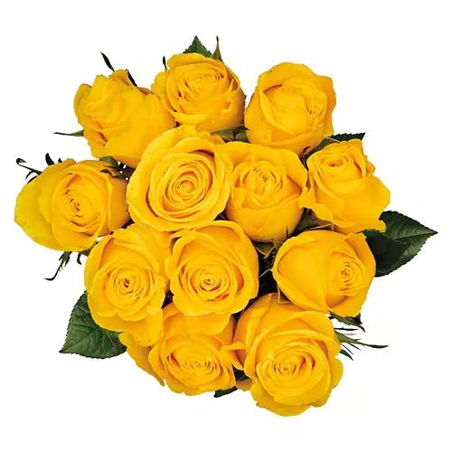 Valentine's Day 12 Stem Roses - Assorted Colors