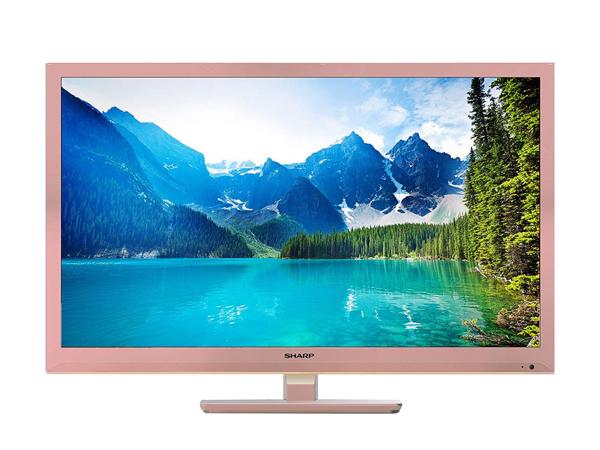24 LCD TV with built in DVD-Player