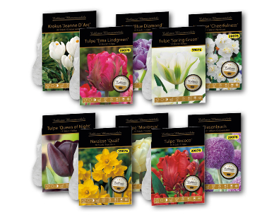 Bulbes de fleurs exclusifs