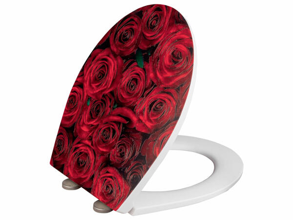 Toilet Seat