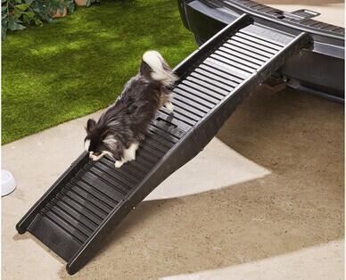 Dog Car Ramp