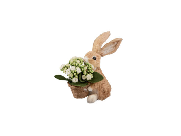 Small Bunny Arrangement