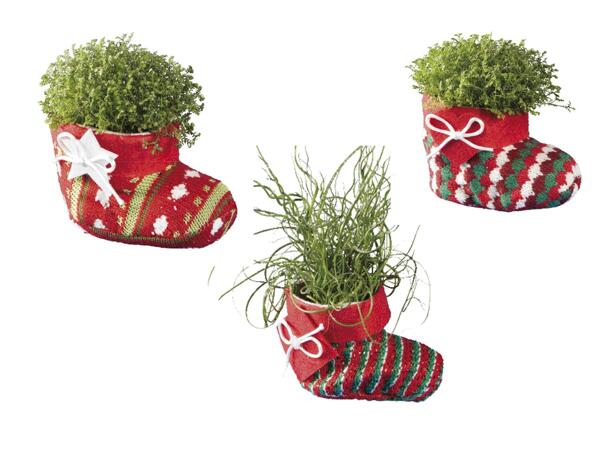 Christmas Boot Plant