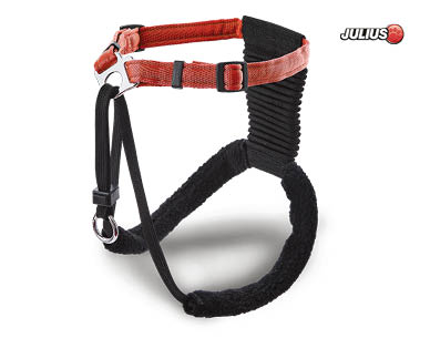Non-Pull Dog Harness