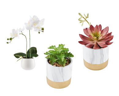 Artificial Plants in Decorative Pots