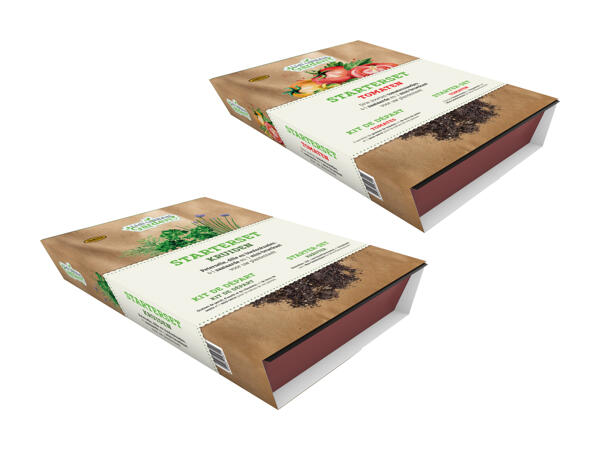 Urban Garden: set de démarrage herbes aromatiques et tomates