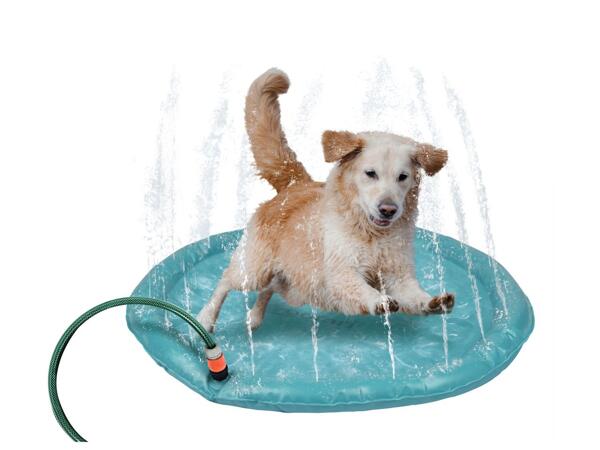 Zoofari Dog Water Sprinkler Play Mat