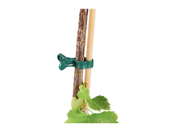 Parkside Planting Accessories Assortment