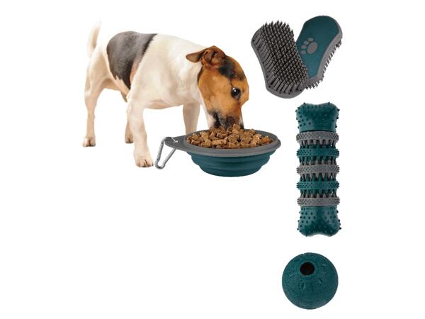 Pet Care Accessories