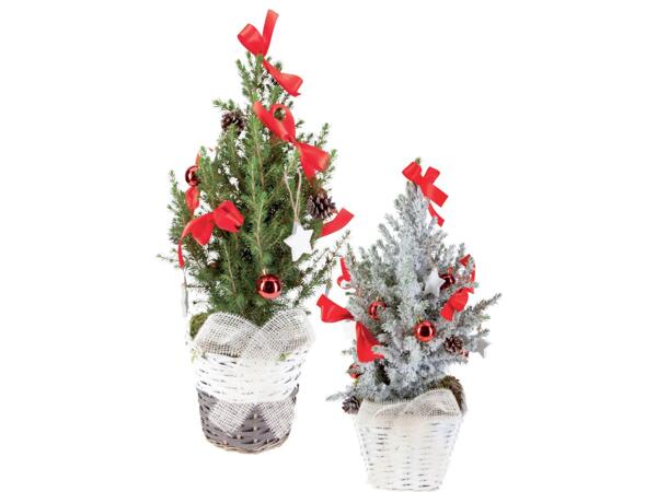 Christmas Tree in a Basket