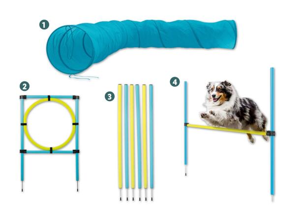 Hunde Agility-Sortiment