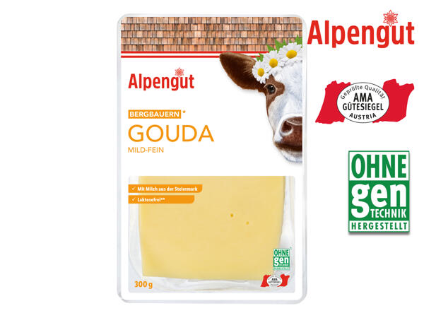 Bergbauern Gouda