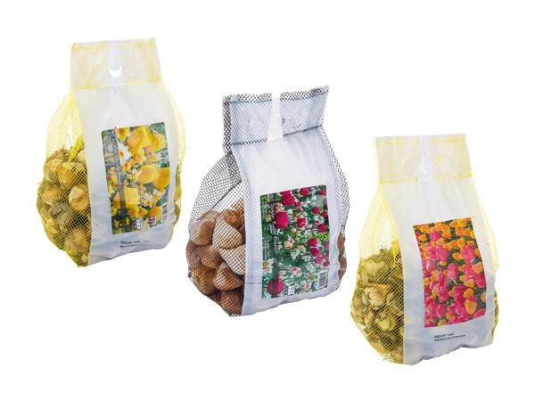 Bulbi di piante fiorite "Mix paesaggio"