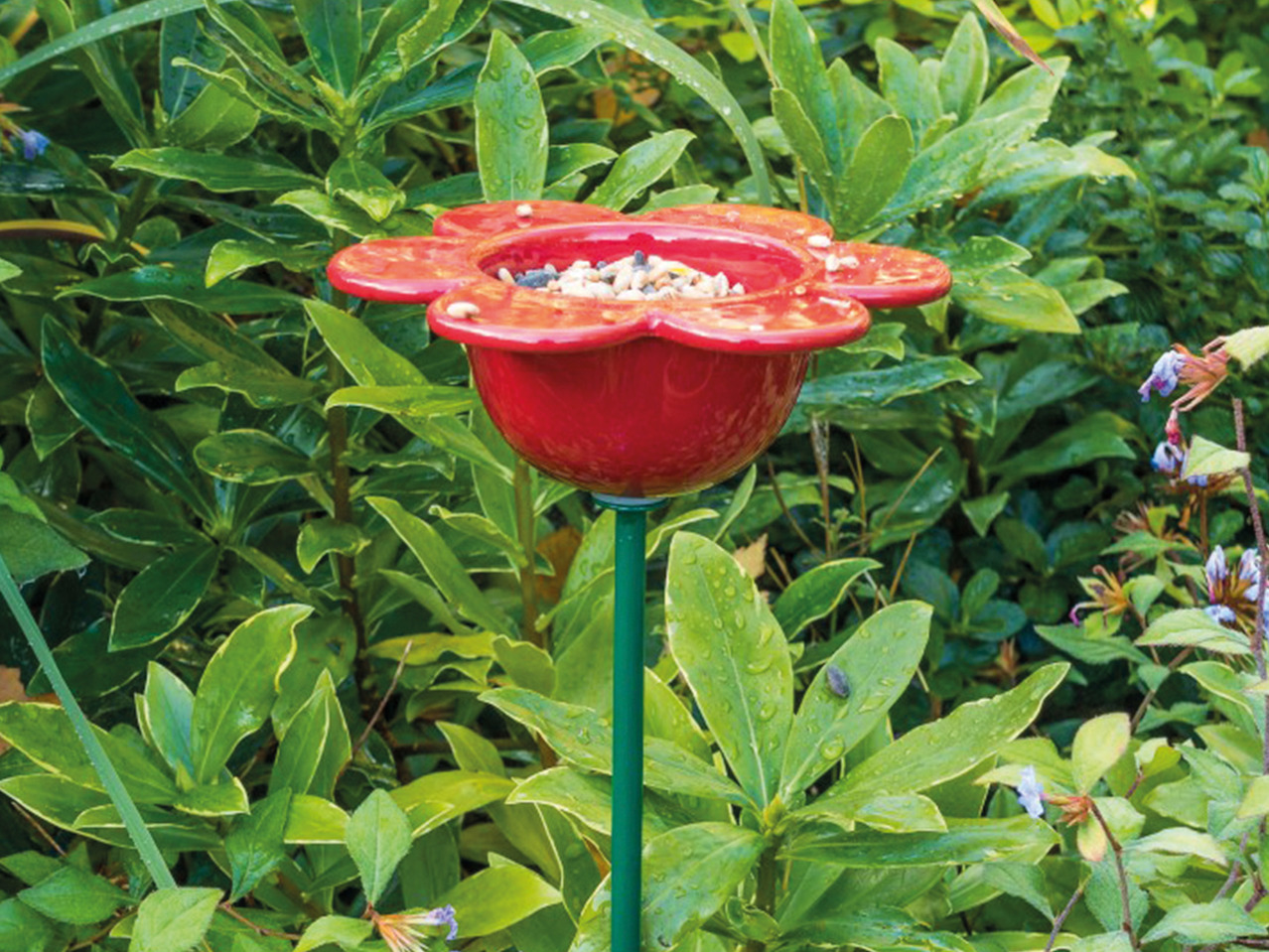 Everything Wildlife Ceramic Petal Bird Feeder1