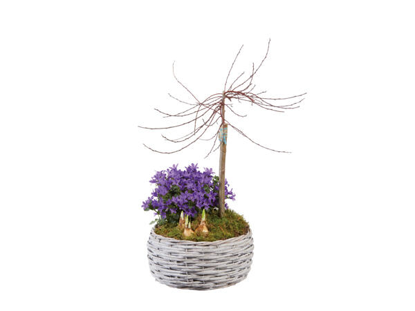 Blomgrupp i korg