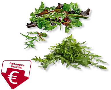 Schnittsalat/Rucola