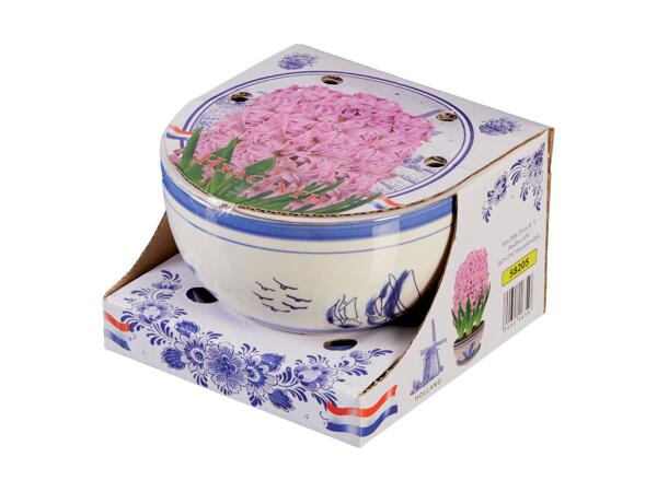 Spring Bulbs in Ceramic Bowl