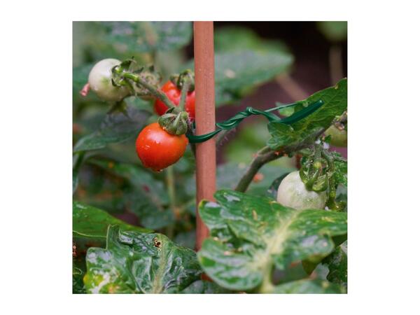 Parkside Growing Accessories Assortment