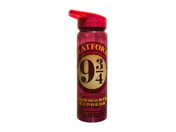 Zak 600ml Character Water Bottle