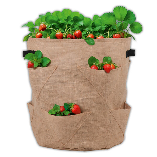 Jute-Erdbeer-Pflanzsack