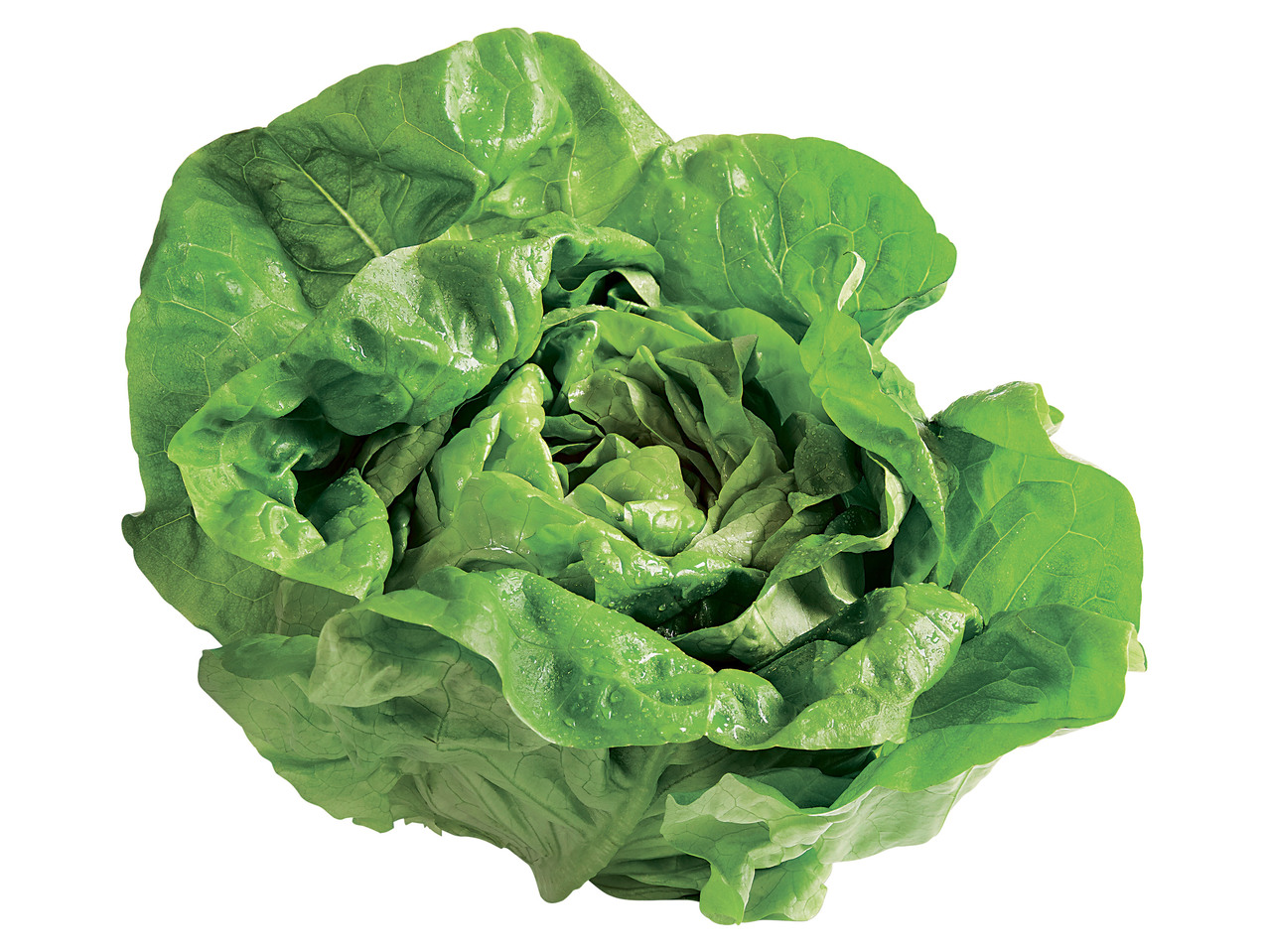 Häuptelsalat