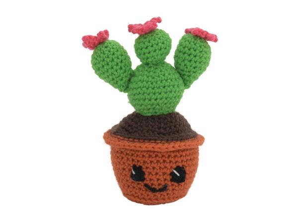 Crelando DIY Crochet Set - Cactus