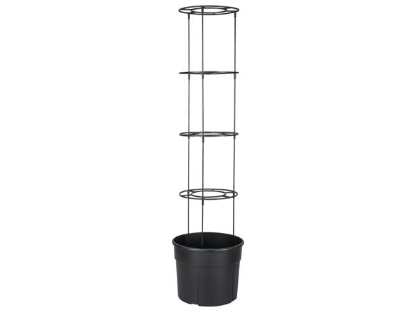 Tomato Planter