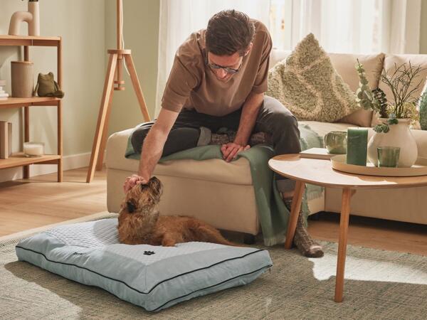 Reversible Self Cooling And Warming Dog Bed