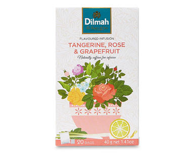 Dilmah Tea Infusions 20pk/40g