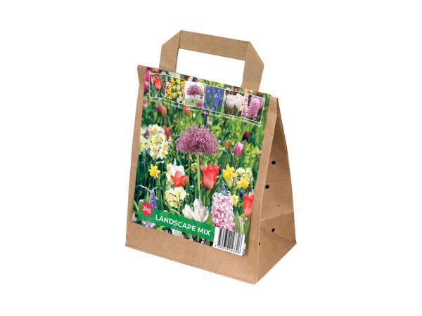 Blandede blomsterløg