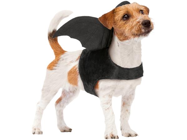 Dog Halloween Costume