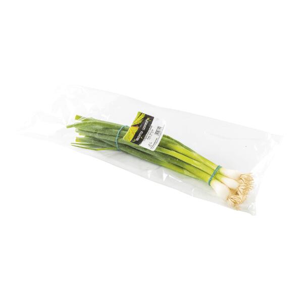 Lente-uitjes