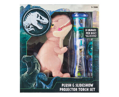 Licensed Walkie Talkie Set or Projector Torch