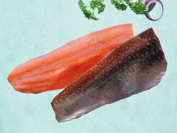 ECHT HERZHAFT Frische Saiblingfilets
